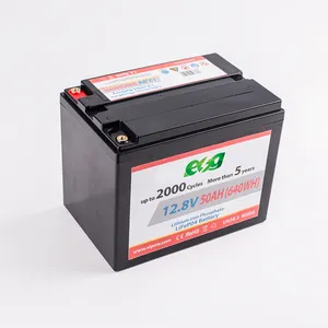 ESG 뜨거운 판매 충전식 리튬 폴리머 태양 전지 12.8V 55ah Lifepo4 리튬 배터리 모듈