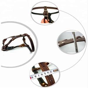 Harnais de chiens en cuir véritable, grande taille, de bonne qualité - Product Image 2