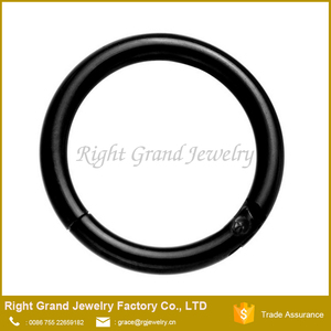 Senza soluzione di continuità Segmento Clicker Incernierato Anello Del Cerchio Dell'orecchio del Labbro Setto Piercing - Product Image 5
