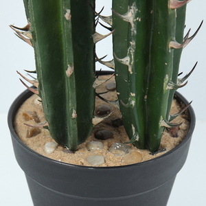Plantas Artificiales <span class=keywords><strong>de</strong></span> <span class=keywords><strong>Cactus</strong></span> Mini, Decoración <span class=keywords><strong>de</strong></span> Escritorio Moderna Escandinava, Sin Agua, Poco <span class=keywords><strong>Luz</strong></span>, Hogar y Oficina - Product Image 5