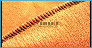 Invierno Polartec tela hombres ropa interior termal climatizada ayuda de la rodilla gruesa capa doble hombres Sexy - Product Image 5