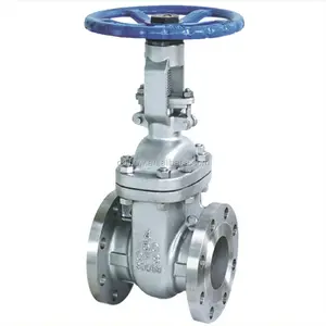 304/316 Stainless Steel CF8/CF8M/CF3M Gate Valve