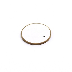 Materiale Ad Ultrasuoni Piezoelettrico di Ceramica del Disco Pzt8 Piezo In Ceramica Personalizzabile Pzt - Product Image 2