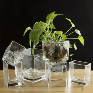 Vase à fleurs carré en verre transparent épais, dispositif pour décoration de table, 5mm