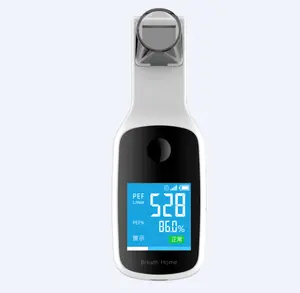 पोर्टेबल स्मार्ट चिकित्सा व्यक्तिगत Spirometer