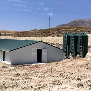 Hot <span class=keywords><strong>Sale</strong></span> Vorgefertigte leichte Struktur Struktur Gebäude Fertighaus Geflügel haus Design Hühner farm - Product Image 2
