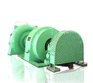 China Francis Turbine 100MW Strom generator