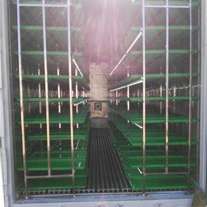 Hydroponic Seeds Germinate <strong>Machine</strong>/<strong>green</strong> <strong>Fodder</strong> Making Barley Breeding Room - Product Image 4