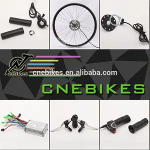 36V 250W 36V 500W 48V 1000W Golden Motor Ebike Conversion Kit/Electric Bicycle Kit/Electric Bike Hub Motor