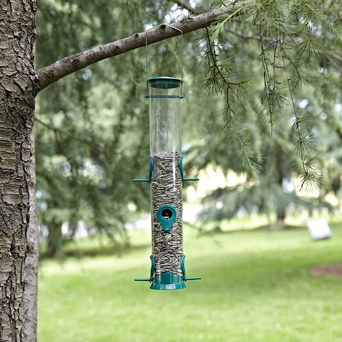 BirdフィーダーSquirrel Proof- Backyard Garden - Seed Bird Feeder