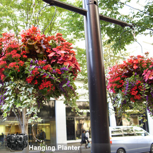 Vertical Garden Systems Cheap <strong>Hanging</strong> Plastic Planter <strong>Basket</strong> Decorative <strong>Indoor</strong> <strong>Hanging</strong> Flower Pot for Garden Wholesale - Product Image 1