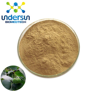 Undersun 공급 원료 은행 나무 biloba 추출물 - Product Image 1