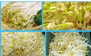 Haute Qualité Germes De <span class=keywords><strong>Haricot</strong></span> <span class=keywords><strong>Mungo</strong></span> Machine, L'orge Germination Machine, Électrique Bean Sprout Maker - Product Image 4