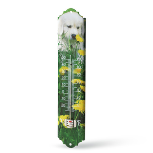 Thermomètre d'intérieur et d'extérieur en fer blanc pour la décoration de la maison, image de jardin - Product Image 1