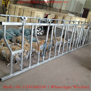 Hot Dip galvanizado Jersey vaca Headlock usado ganado Feed Headlock precios en <span class=keywords><strong>la</strong></span> India para <span class=keywords><strong>la</strong></span> <span class=keywords><strong>venta</strong></span> 6 metros de largo de 8 vacas Lock - Product Image 6