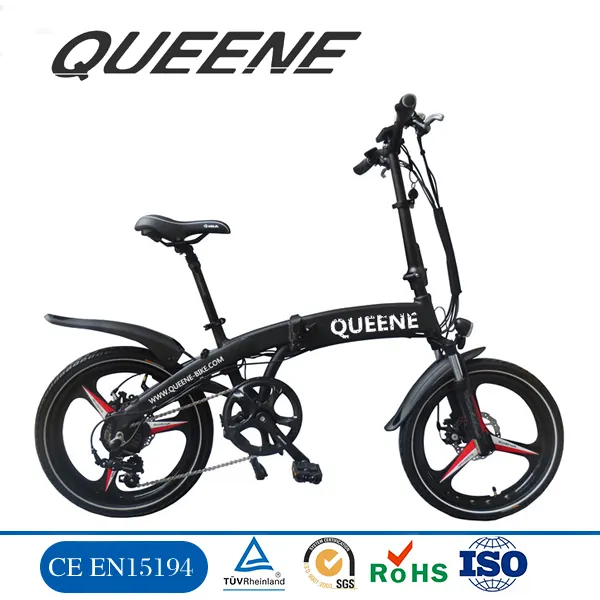 QUEENE/OEM 18KG Newest electric mountain bike bicycle electric motor 250w electrical bicycle