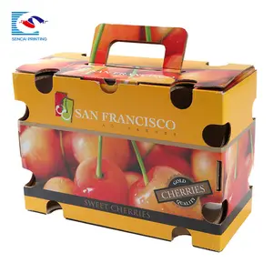 Custom Hollow Out Gegolfd Cherry Verpakking Dozen Voor Tomaten Verpakking Doos Met Handvat