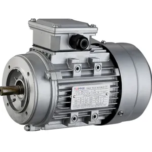 Kleiner dreiphasiger asynchroner Elektromotor der MS-Serie