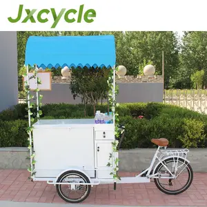 Vélo de glace avec congélateur à deux roues avant, livraison gratuite
