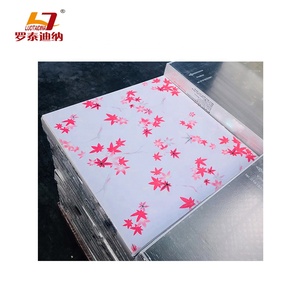 Pendre — <span class=keywords><strong>plafond</strong></span> suspendu en <span class=keywords><strong>PVC</strong></span> stratifié, de haute qualité, coloré, 2 pièces - Product Image 3
