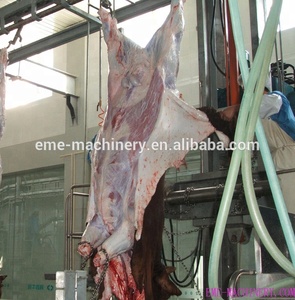 Équipement <span class=keywords><strong>d</strong></span>'abattage <span class=keywords><strong>de</strong></span> bovins, machine à retirer la peau, équipement <span class=keywords><strong>d</strong></span>'abattoir utilisé, équipement <span class=keywords><strong>de</strong></span> <span class=keywords><strong>boucherie</strong></span> à vendre pour abattoir automatique - Product Image 2