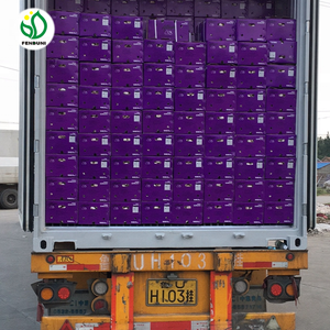 Cung Cấp Tỏi Trung Quốc Trong <span class=keywords><strong>Container</strong></span> Cá Hồi 40ft - Product Image 4