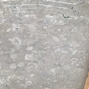 Poli gris foncé pierre étoile galaxie gris marbre pour hôtel cuisine comptoir coupée à la taille carrelage en vente au prix de gros