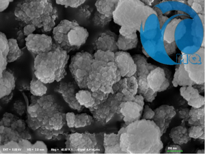 50-100nm Nano ZSM-5 zeolita para catalizador adsorbente o - Product Image 2
