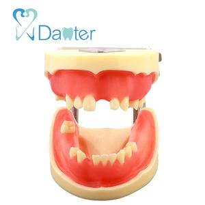 China Vervaardigen Tandheelkundige Model <span class=keywords><strong>Implant</strong></span> Practice Model met Siliconen Gingivae voor Student Praktijk - Product Image 4