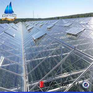 Usine — <span class=keywords><strong>verre</strong></span> <span class=keywords><strong>trempé</strong></span>, <span class=keywords><strong>4mm</strong></span> 5mm 6mm 8mm 10mm 12mm, <span class=keywords><strong>prix</strong></span> <span class=keywords><strong>pour</strong></span> <span class=keywords><strong>serre</strong></span> - Product Image 3