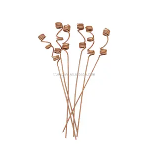 Reed Set Hadiah Aroma Reed Diffuser, Aksesori Tongkat Rotan Alami untuk Stik Aroma Rumah TS-RD138