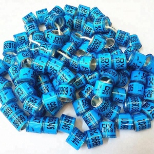 ญี่ปุ่นพิกษัตริย์แหวน2019 - Product Image 2