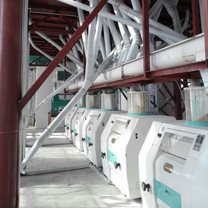 Hạt Máy Nghiền Bột Mì Nhà Máy 150 Tấn Mỗi Ngày Trong Argentina Với Giá - Product Image 2