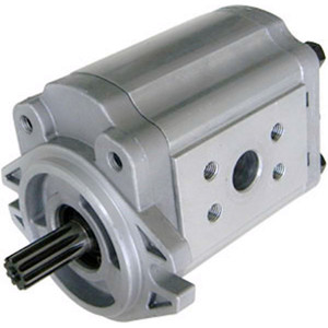 Gabelstapler-Ersatzteile Hydraulische Zahnradpumpe 181N7-10001 für <span class=keywords><strong>TCM</strong></span> FB20-7 - Product Image 1