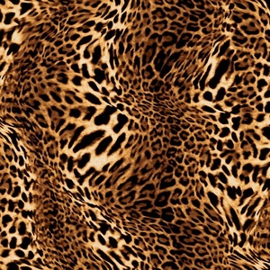Roupa de banho de poliéster estampada de leopardo, popular, tropical, tecido elástico