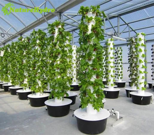 Torres de cultivo aeropónico, sistemas de jardín vertical hidropónico