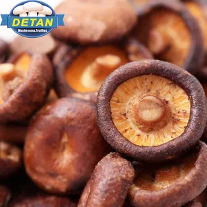 Detan commercio all'ingrosso di vuoto fritto biologico shiitake fungo chip