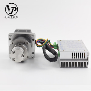 פופולרי עיצוב 24V Dc חשמלי מיקרו מגנטי קטן חיוני שמן הילוך העברת להשתמש עבור דלק שמן דיזל חומר סיכה - Product Image 2