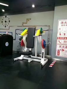 Nuova attrezzatura da palestra per Fitness TZ 6061 pressa per spalla attrezzatura per resistenza caricata a piastra - Product Image 4