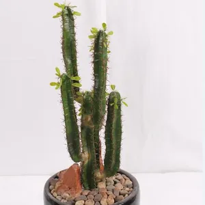 2016 alto di plastica verde Cactus falso pianta di cactus vasi all'ingrosso