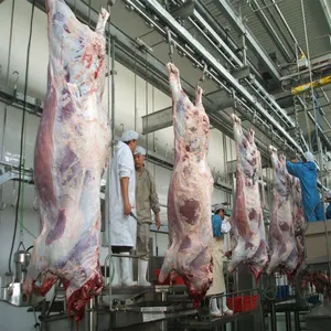 Cattle Slaughter Line Slaughterhouse/Goat Sheep Buffalo Abattoir Equipment