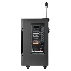 Sansui SG3-10 10 인치 PA 사운드 시스템 하이파이 사운드 높은 전력 무선 스피커