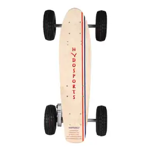 Competitive Price Small Electronics Electric Skateboard For Sale