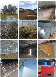 Venta caliente profesional diseño de aves de corral equipos de control de entorno de engorde/criador/turquía - Product Image 3