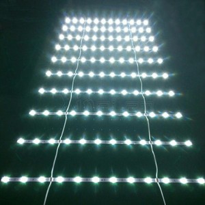 Publicidad de <span class=keywords><strong>la</strong></span> iluminación del área Grande celosía módulo con lente 160 degee led cortina flexible led cortina de luz de fondo - Product Image 6