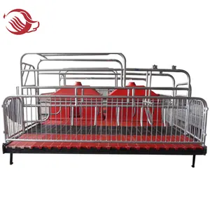 modern automatic husbandry swine farm design, sow farrowing crate, gestation cage feeding, pig equipment