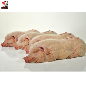 リアルな等身大の動物の豚シリコンミニワックス像ギフト用 - Product Image 2