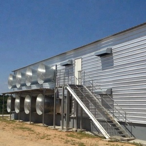 Bajo costo nave industrial estructura de acero de construcción diseño <span class=keywords><strong>granja</strong></span> avícola arrojar gallinero para capas - Product Image 1