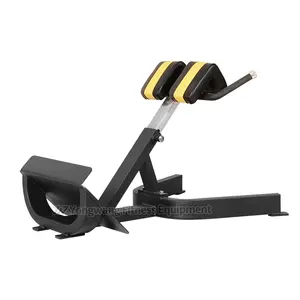 Gym Commercial Equipment Gym Use Back Extension YW-1708 Commercial Fitness Equipment