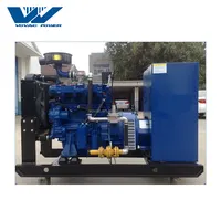 High Cost-effective Biogas Generator, China Manufacturer